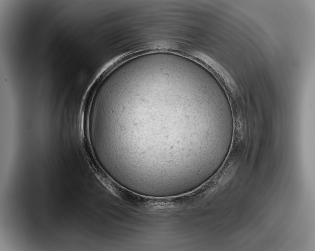 X0000087670886200705111155