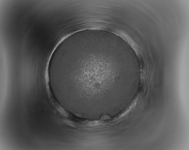 X0000087670891200705111155