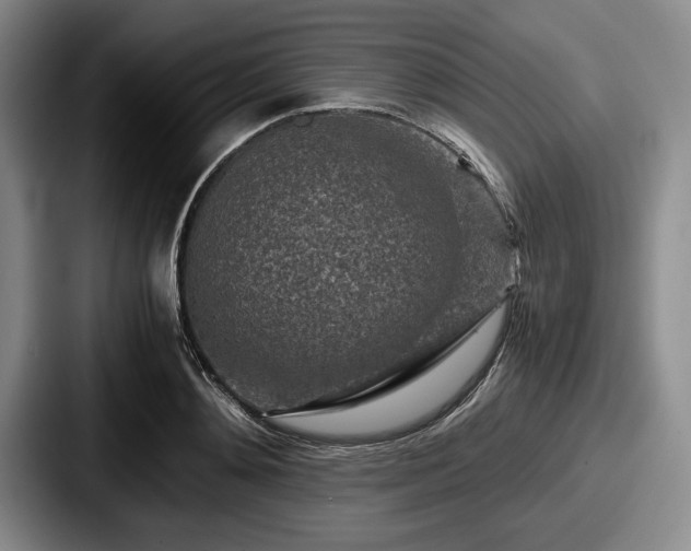 X0000087670892200705111155