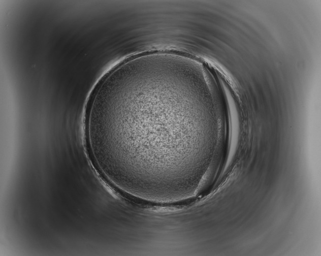 X0000087670894200705111155