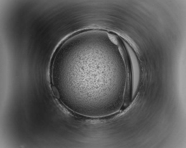 X0000087670896200705111155