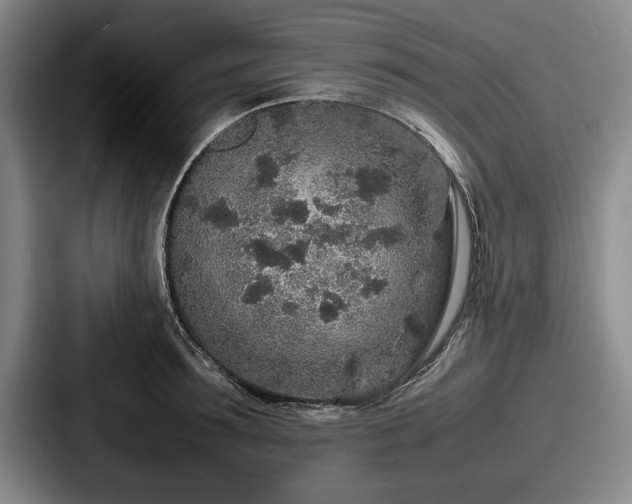 X0000087670899200705111155