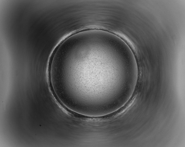 X0000087670902200705111155