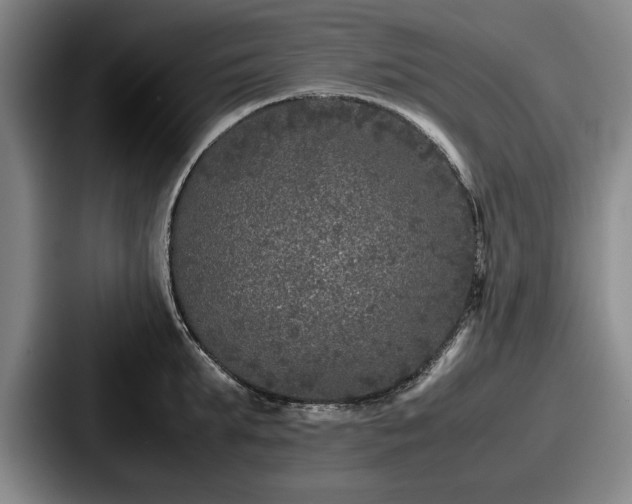 X0000087670903200705111155