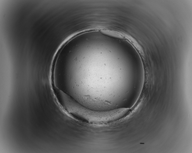 X0000087670904200705111155