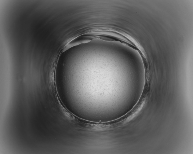 X0000087670905200705111155