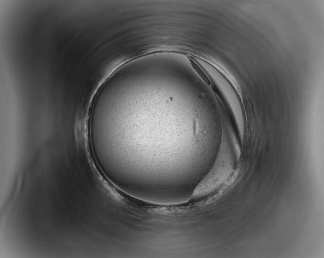 X0000087670906200705111155