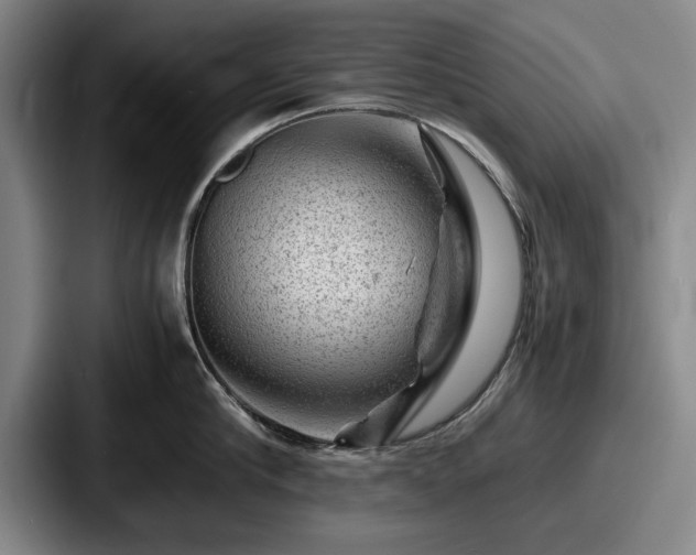 X0000087670910200705111155