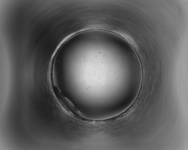 X0000087670912200705111155