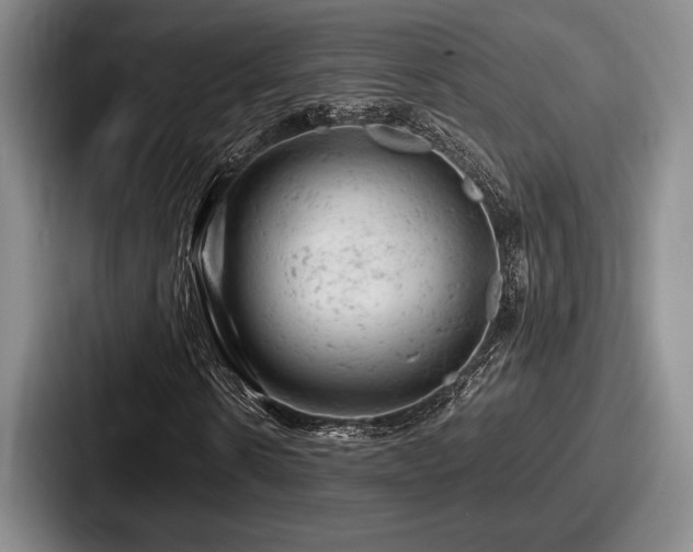 X0000087670914200705111154