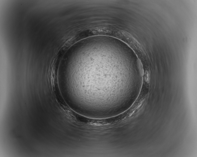 X0000087670915200705111154