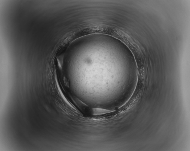 X0000087670916200705111154