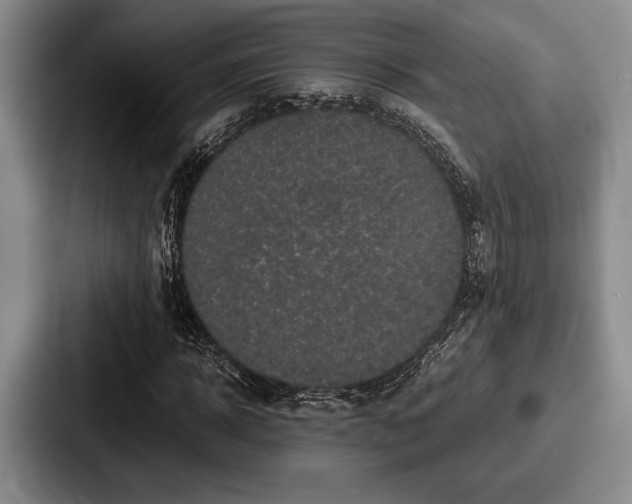 X0000087670918200705111154