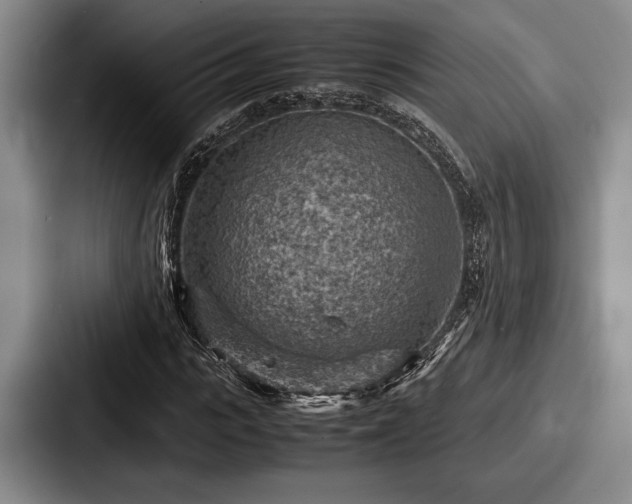 X0000087670919200705111154