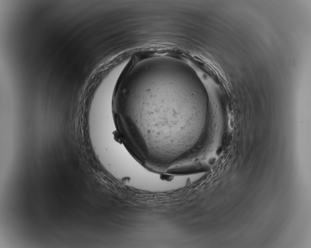 X0000087670920200705111154