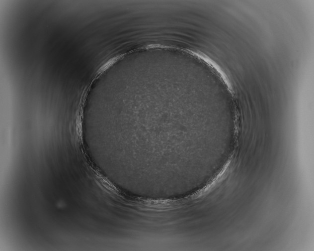 X0000087670921200705111154