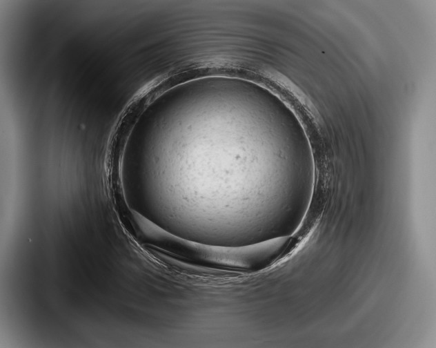 X0000087670922200705111154