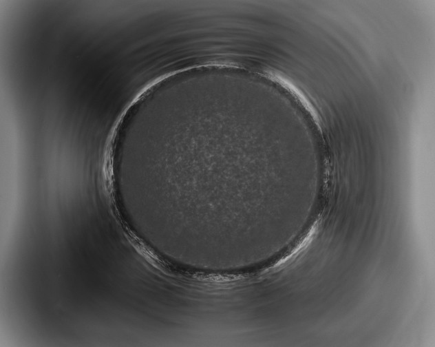 X0000087670923200705111154