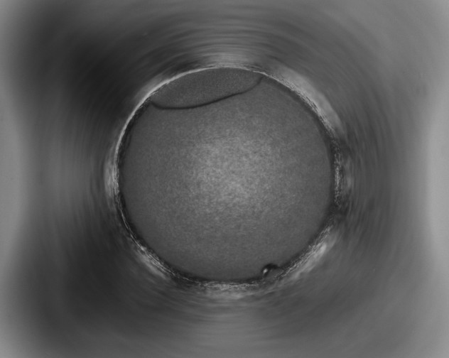 X0000087670924200705111154