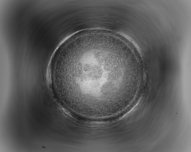 X0000087670925200705111154