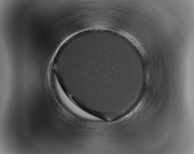 X0000087670926200705111154