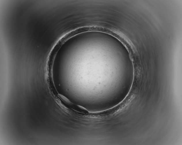 X0000087670927200705111154