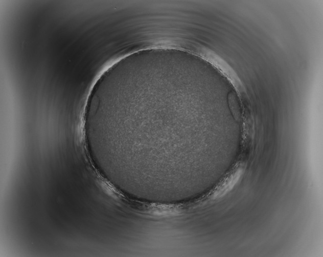 X0000087670928200705111154