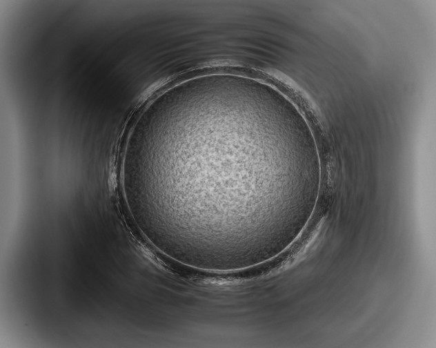 X0000087670929200705111154