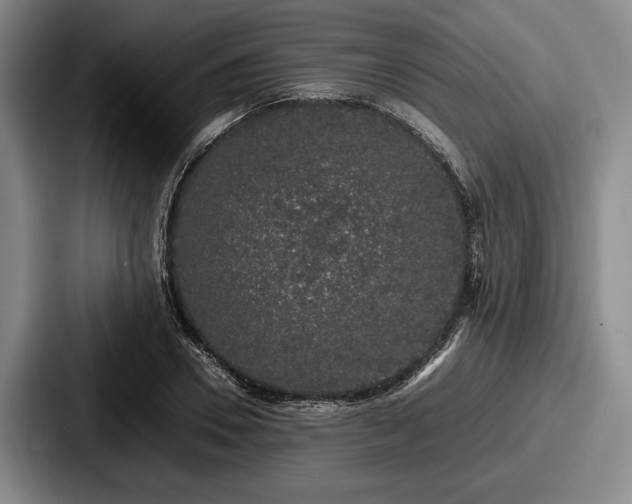 X0000087670930200705111154