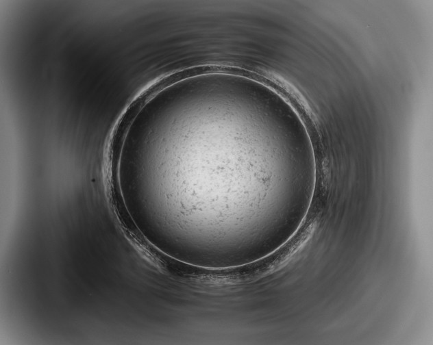 X0000087670931200705111154