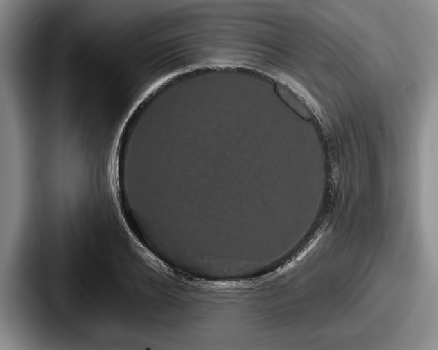 X0000087670934200705111154