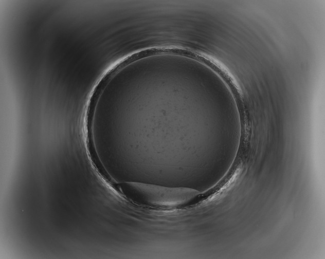 X0000087670935200705111154