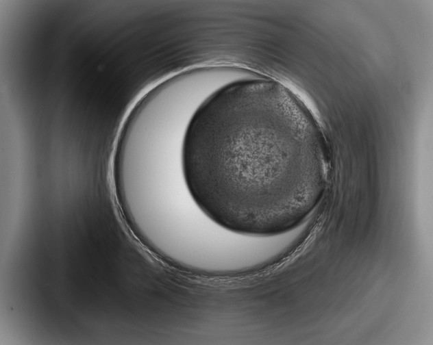 X0000087670936200705111154