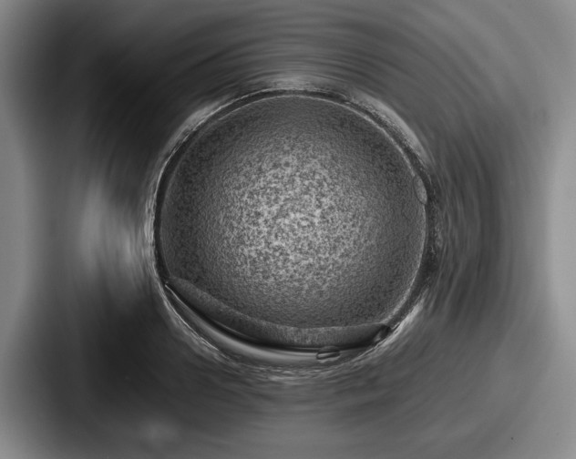 X0000087670938200705111155