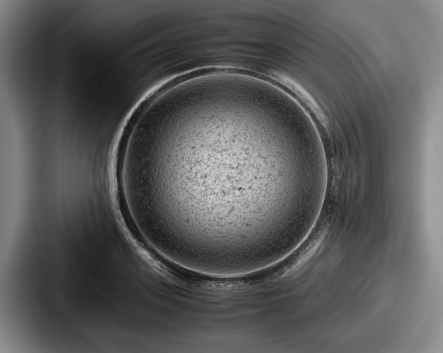 X0000087670939200705111155