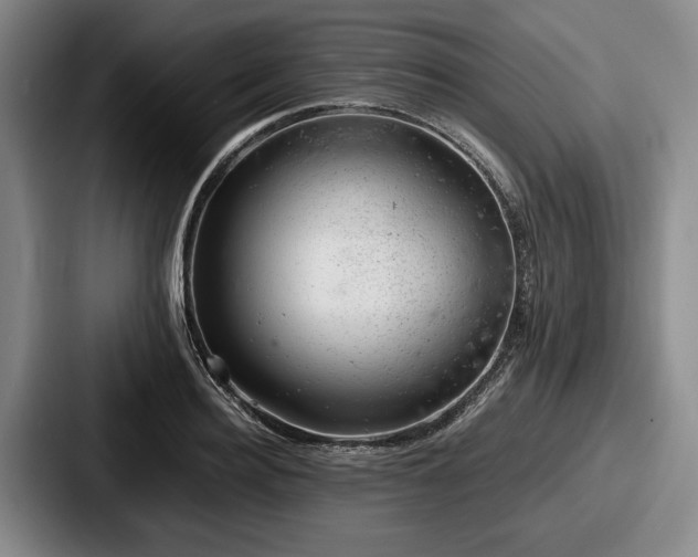 X0000087670940200705111155