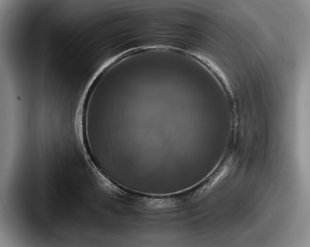 X0000087670941200705111155