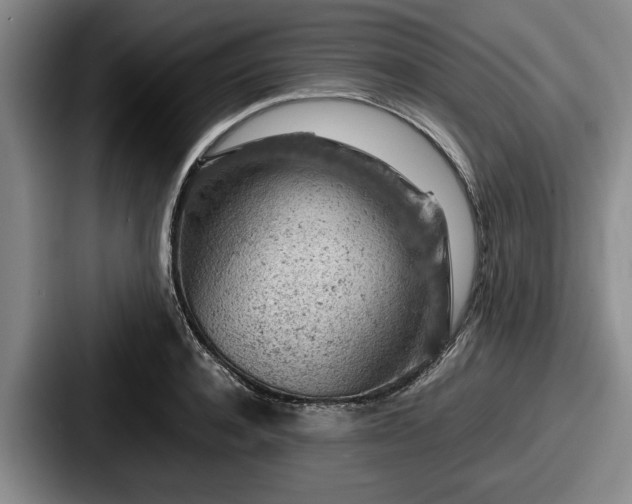 X0000087670944200705111155