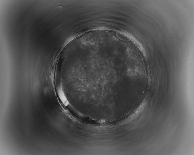 X0000087670945200705111155