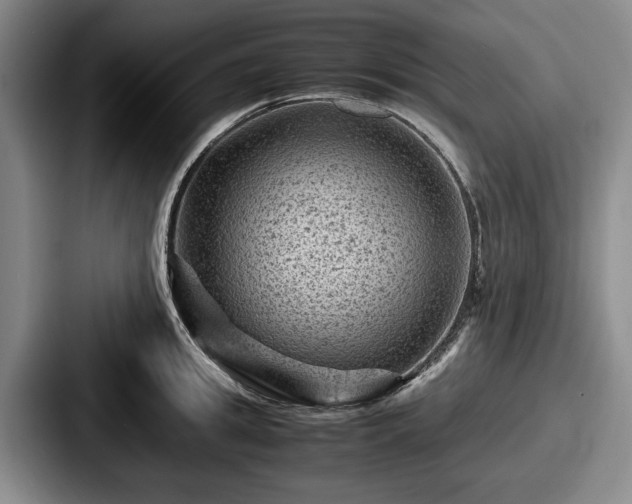 X0000087670949200705111155