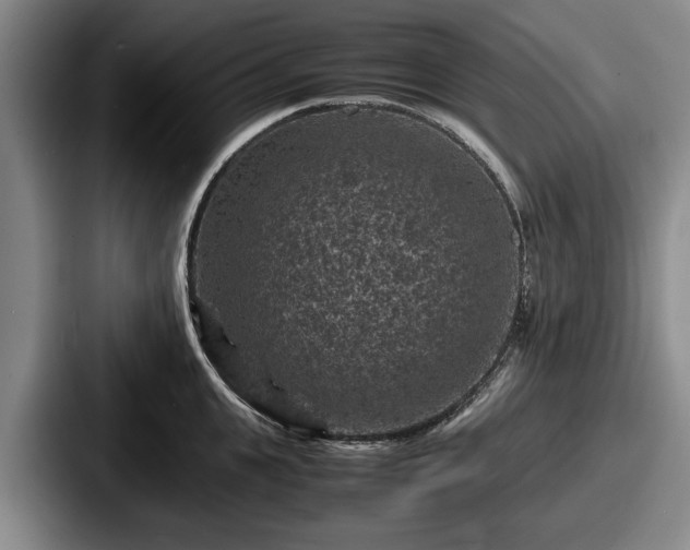 X0000087670951200705111155