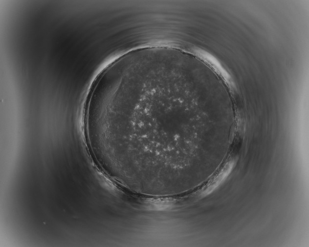 X0000087670952200705111155