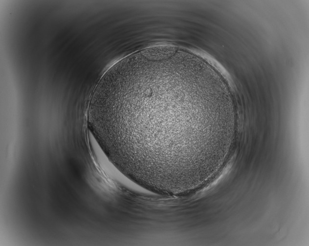 X0000087670953200705111155