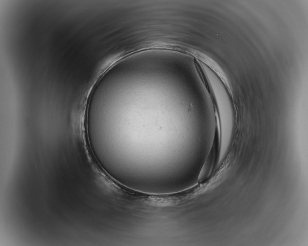 X0000087670954200705111155