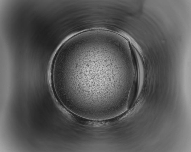 X0000087670955200705111155