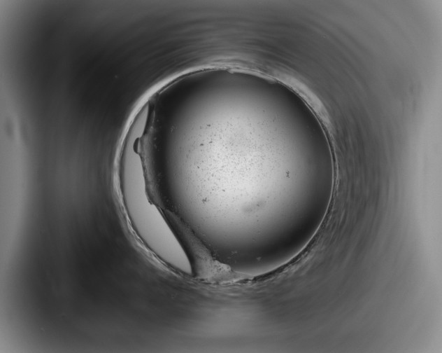 X0000087670960200705111155