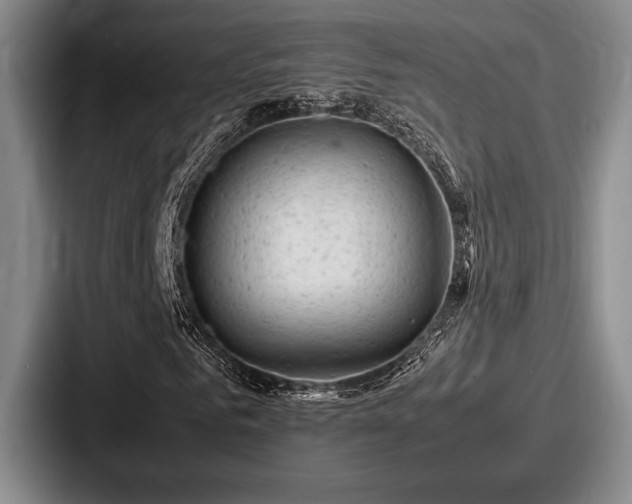 X0000087670961200705111154