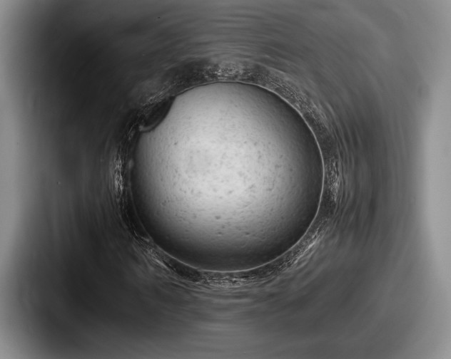 X0000087670962200705111154