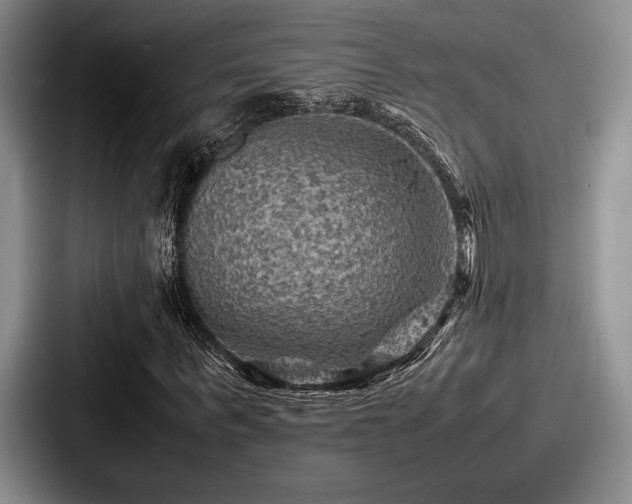 X0000087670963200705111154