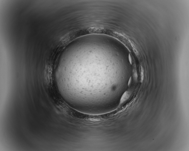 X0000087670964200705111154